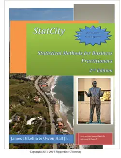statcity book cover image