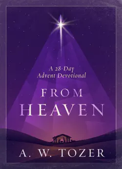 from heaven book cover image