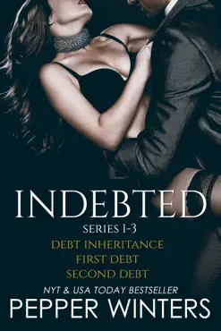 indebted series 1-3 book cover image