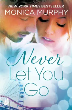 never let you go: never series 2 imagen de la portada del libro
