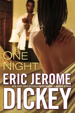 one night book cover image