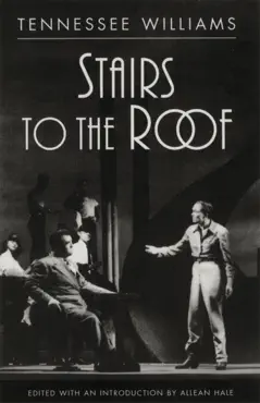 stairs to the roof book cover image