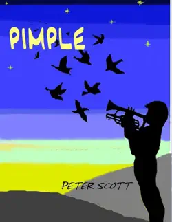 pimple book cover image