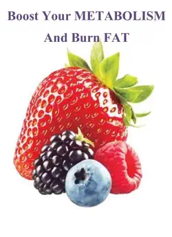 boost your metabolism and burn fat book cover image