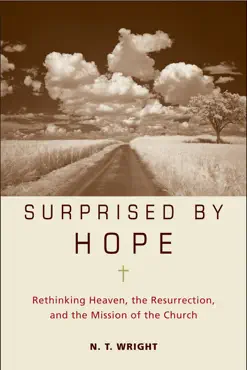 surprised by hope book cover image