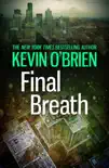 Final Breath sinopsis y comentarios