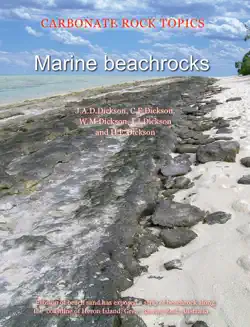 marine beachrocks imagen de la portada del libro