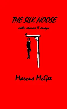 the silk noose book cover image