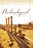 NIV, Archaeological Study Bible synopsis, comments