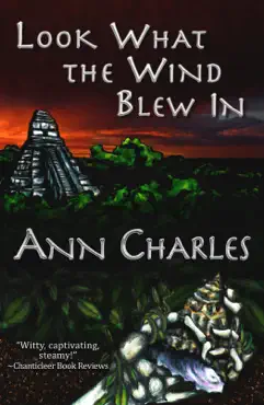 look what the wind blew in book cover image