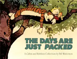the days are just packed book cover image