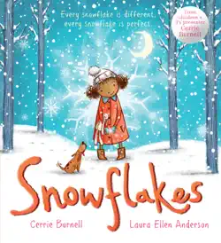 snowflakes book cover image