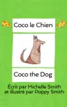 Coco le chien synopsis, comments