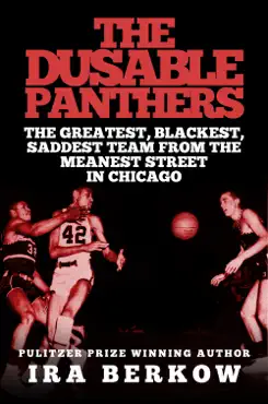 the dusable panthers book cover image