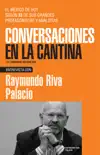 Raymundo Riva Palacio synopsis, comments