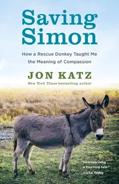 saving simon book cover image