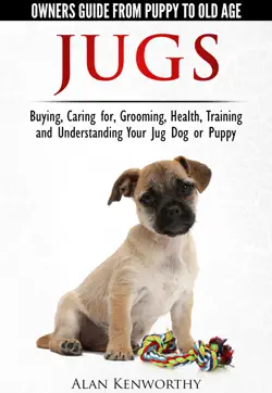 jugs - owners guide from puppy to old age. buying, caring for, grooming, health, training and understanding your jug dog or puppy book cover image