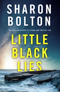 little black lies book cover image