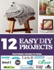 12 Easy DIY Projects sinopsis y comentarios