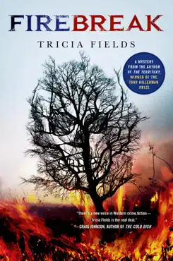 firebreak book cover image