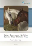 Bunny Brown and His Sister Sue and Their Shetland Pony synopsis, comments