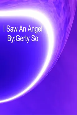 i saw an angel book cover image