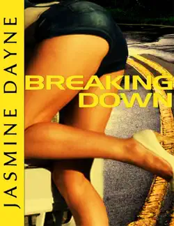 breaking down (rough sex erotic fiction) book cover image