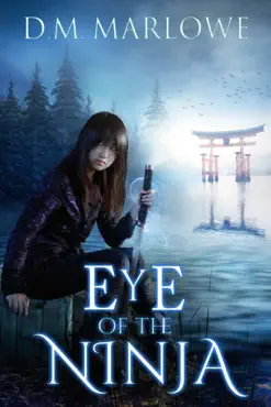 eye of the ninja book cover image
