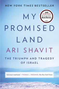 my promised land book cover image