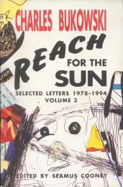 reach for the sun vol. 3 book cover image