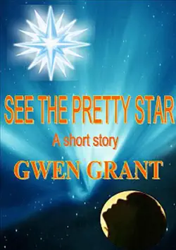 see the pretty star book cover image