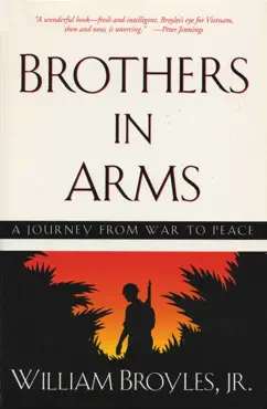 brothers in arms book cover image