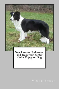 new how to understand and train your border collie book cover image