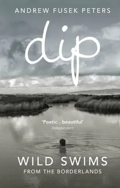 dip book cover image
