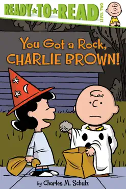 you got a rock, charlie brown! book cover image