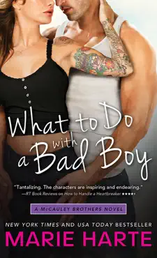 what to do with a bad boy book cover image