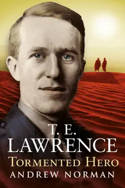 t.e.lawrence - tormented hero book cover image