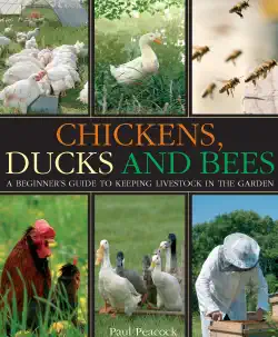 chickens, ducks and bees book cover image
