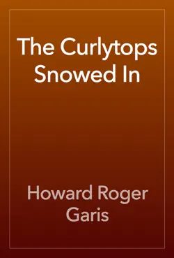 the curlytops snowed in book cover image