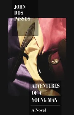 adventures of a young man book cover image