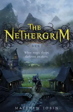 the nethergrim book cover image