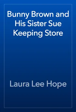 bunny brown and his sister sue keeping store book cover image
