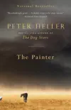 The Painter synopsis, comments