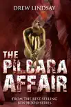 The Pilbara Affair synopsis, comments