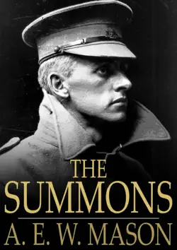 the summons book cover image