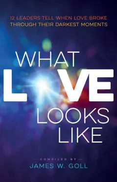what love looks like book cover image
