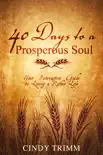 40 Days to a Prosperous Soul synopsis, comments