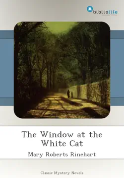 the window at the white cat imagen de la portada del libro