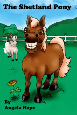 the shetland pony imagen de la portada del libro