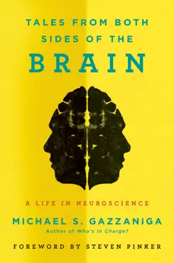 tales from both sides of the brain book cover image